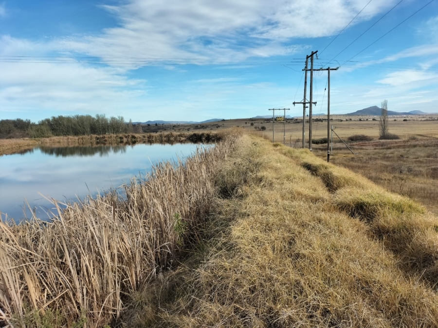 5 Bedroom Property for Sale in Queenstown Rural Eastern Cape